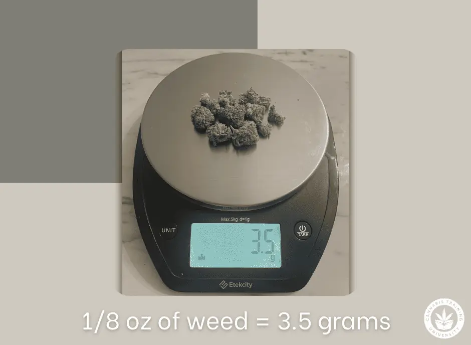 1/8th of weed, or 3.5 grams on a scale. Buds of weed weighed out on a scale showing 3.5 grams or 1/8th oz.