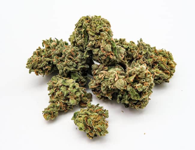 Animal Mints Strain Overview & Effects 2025