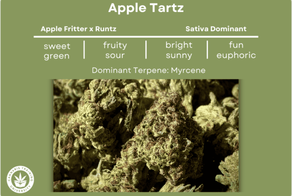 Apple Tartz strain buds with a table listing its genetics, effects, terpene, flavor, taste, and effects.