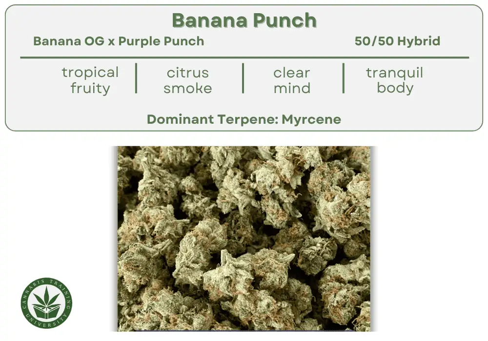 banana punch