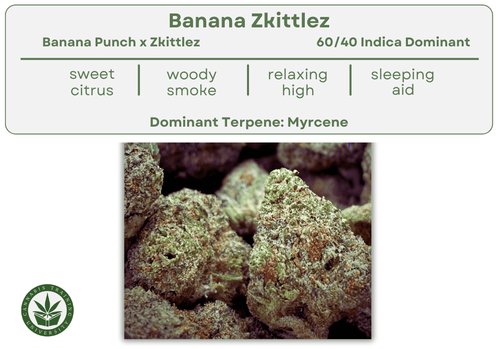 Banana ZKittlez strain flowers close up. With a list above it that shows its genetics, effects, indica dominant hybrid, taste, smell, and dominant terpene. 