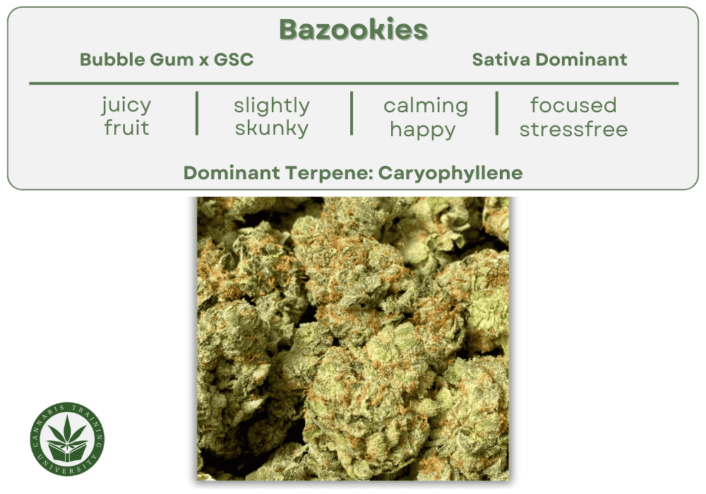 Bazookies strain buds close up. A table lists the genetics, taste, smell, effects, and dominant terpene. 