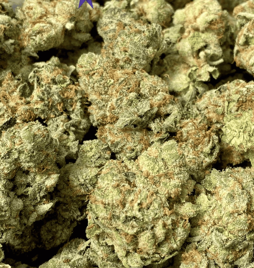 Bazookies Strain: Overview & Effects