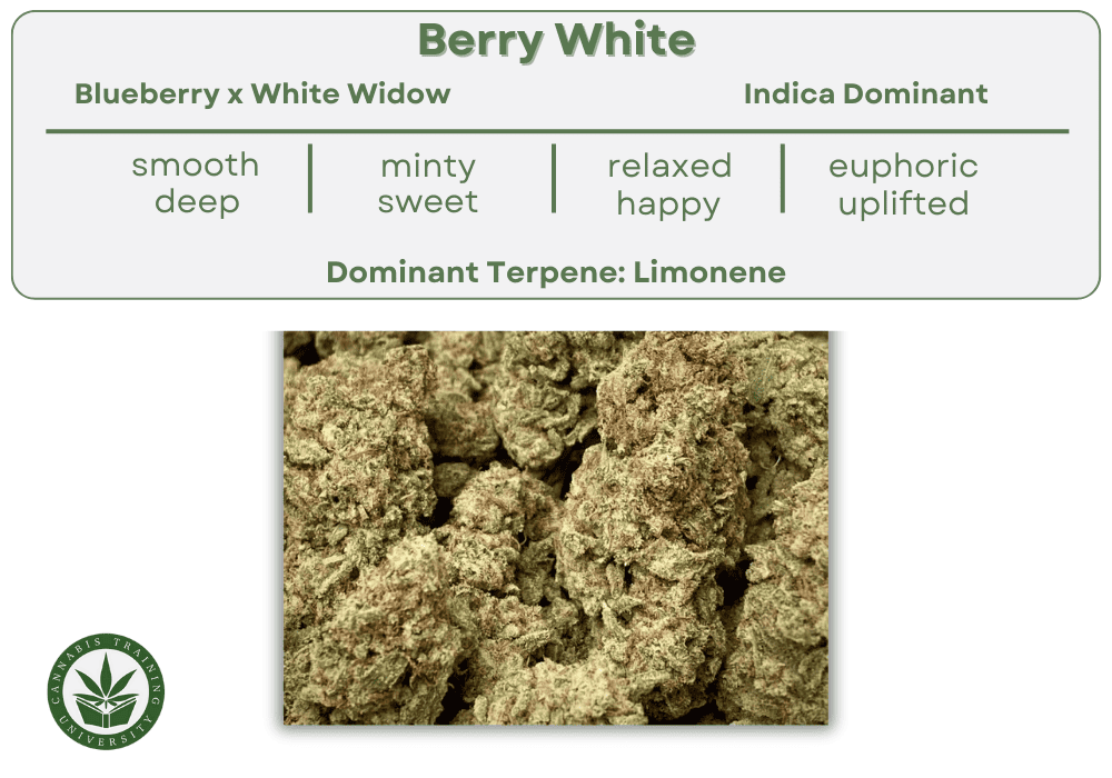 berry white
