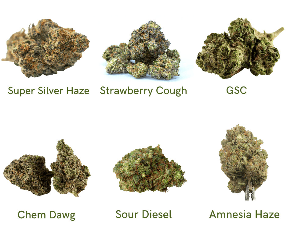 6 of the best weed strains of all time