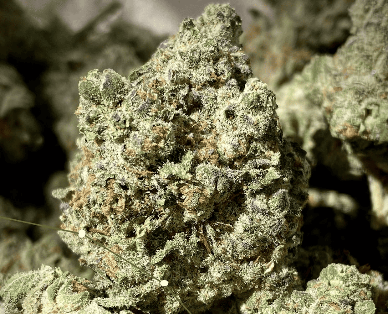 Exploring the Universe with Big Dipper Strain