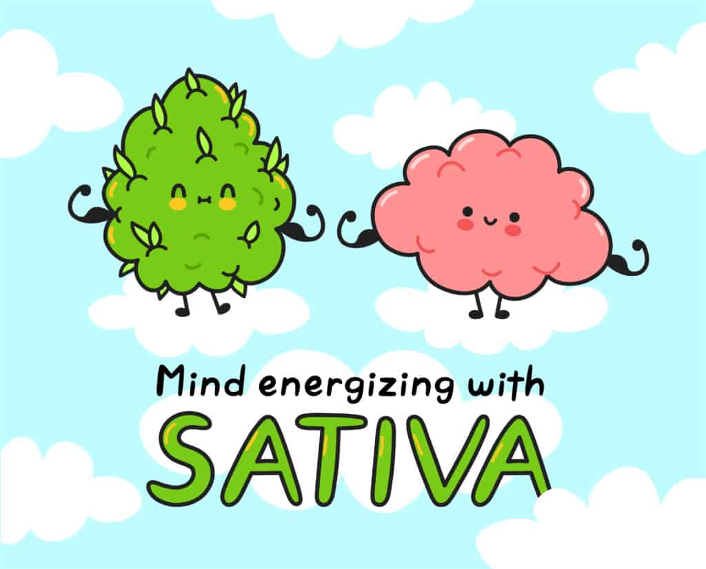 sativa strains for energy. best weed for energy