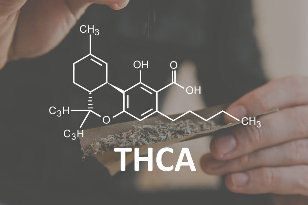 THC A. Cannabis plants chemical formula. THCA with the Cannabidiol molecule. Tetrahydrocannabinolic acid