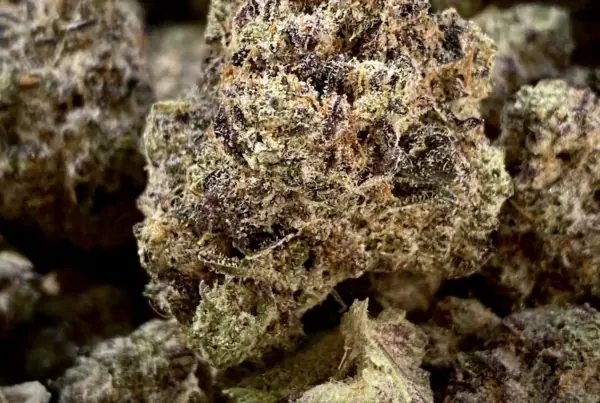 cake crasher strain flower up close, brown and purple hues