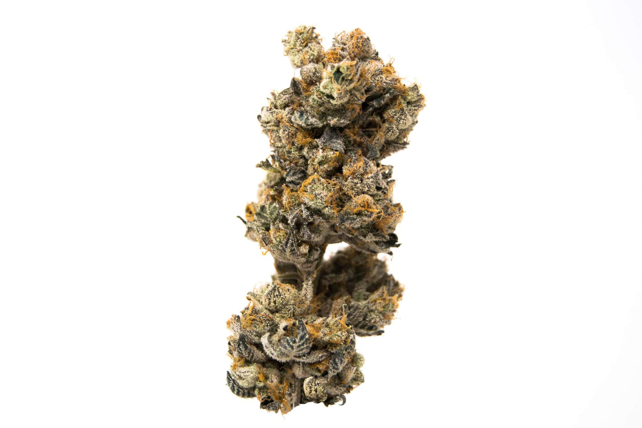 GMO Cookies Strain Overview & Effects