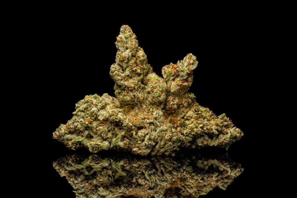 a close up of Jealousy strain, a cannabis bud.