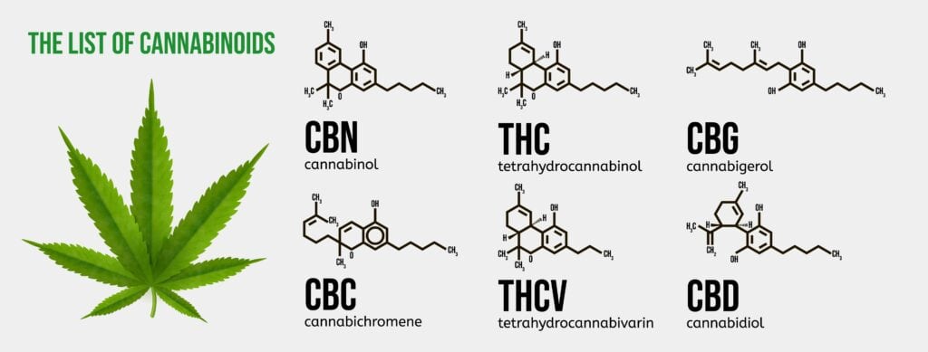 list of cannabinoids. cbn, thc, cbg, cbc, THCV, cbd.
