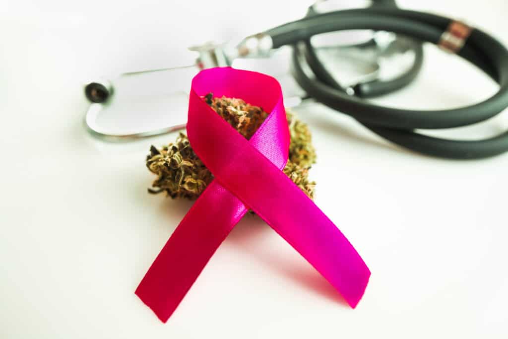 cannabis and cancer. a cannabis bud with a cancer ribbon and a doctors stethescope