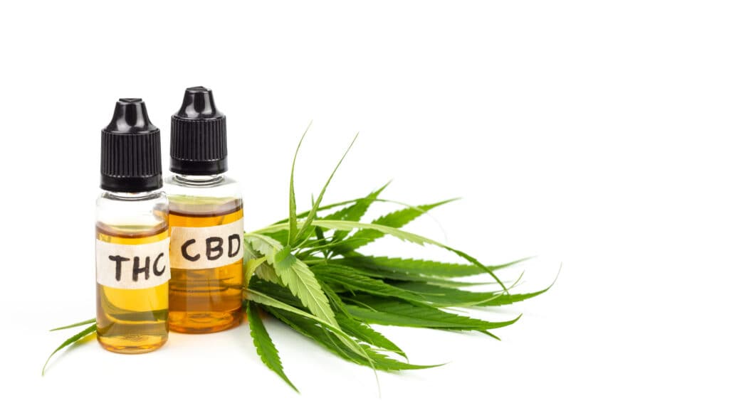does CBD counteract THC? a bottle of THC oil and CBD oil next to one another with some cannabis leaves. 
