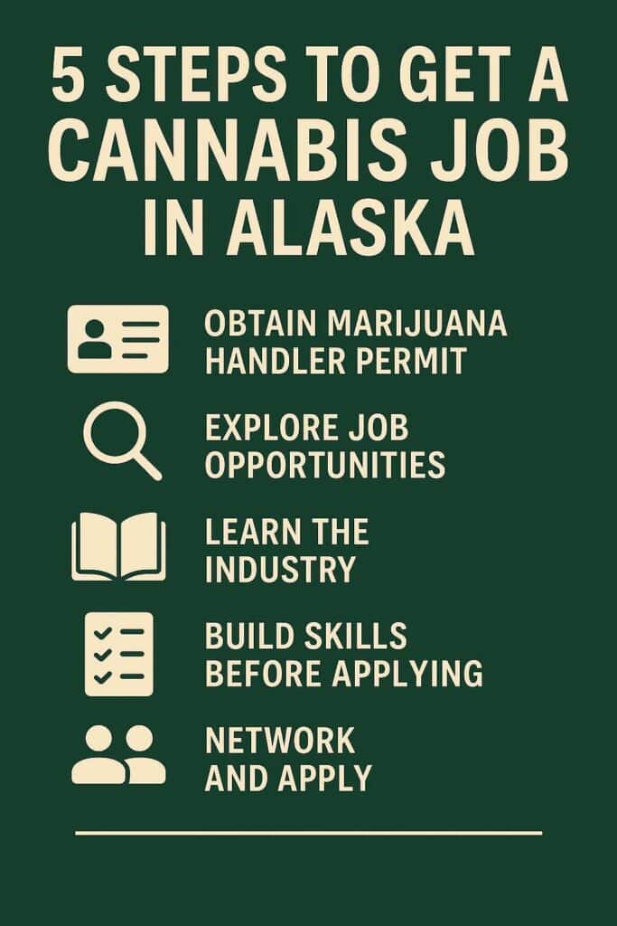 Alaska Cannabis Jobs: Step-By-Step Guide 1 5 steps to get a cannabis job in Alaska. infographic.