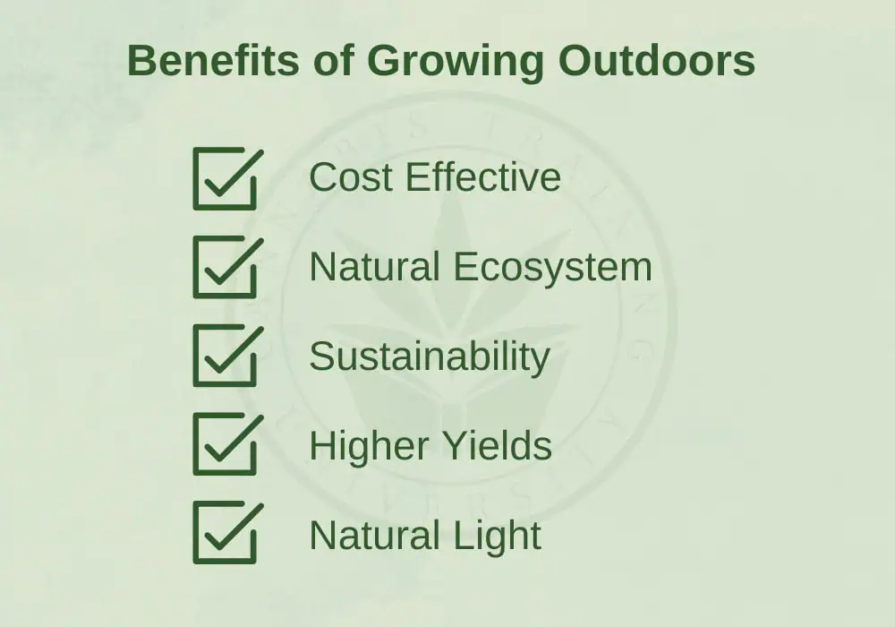 a chart of the benefits of growing outdoors