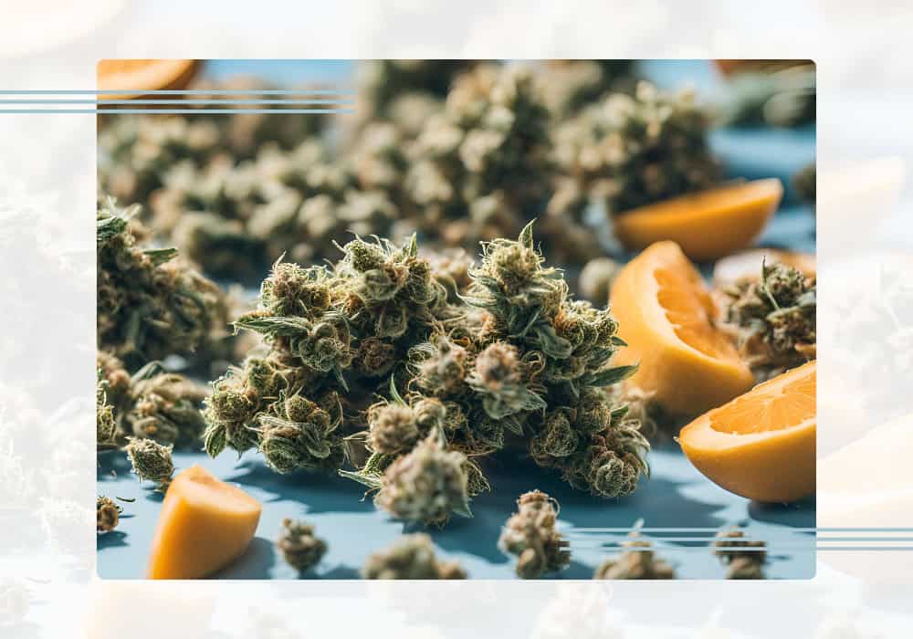 cannabis strains on blue next to oranges, fruity cannabis strains for summer