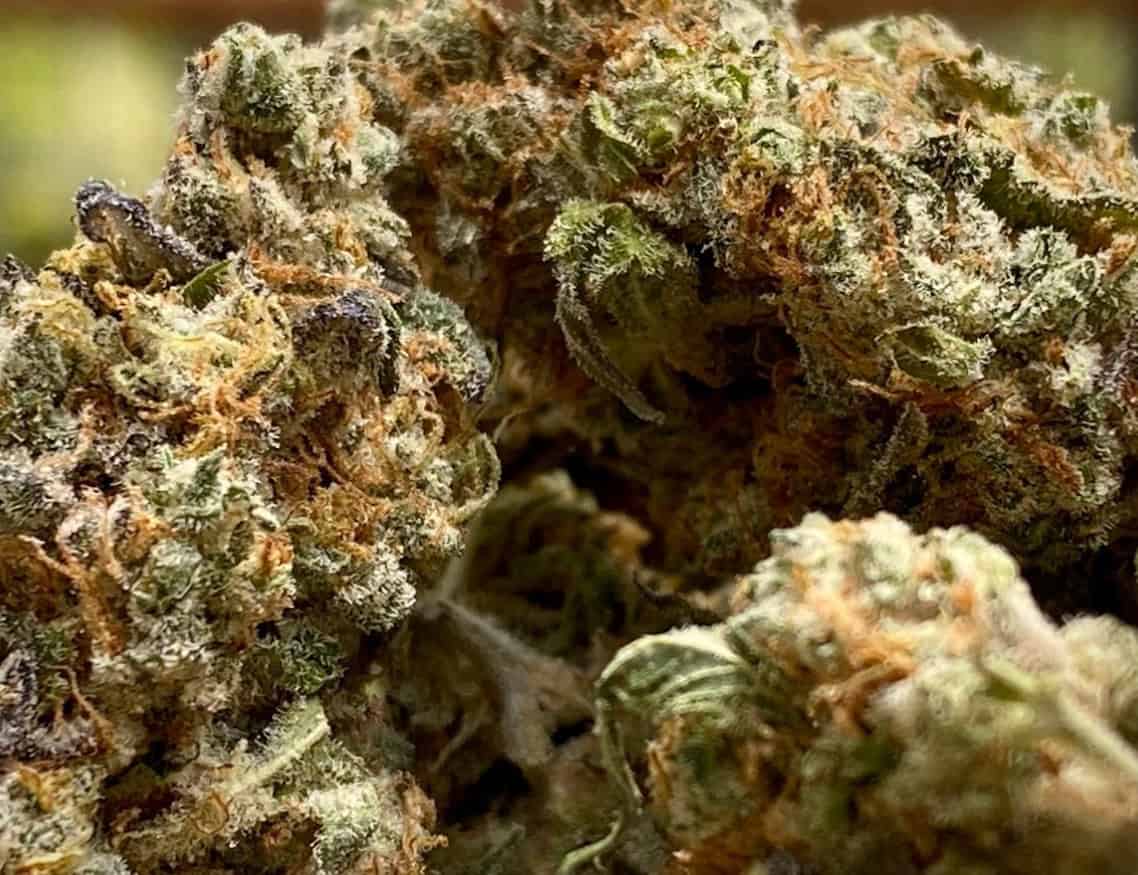 a close up of a thcv strain