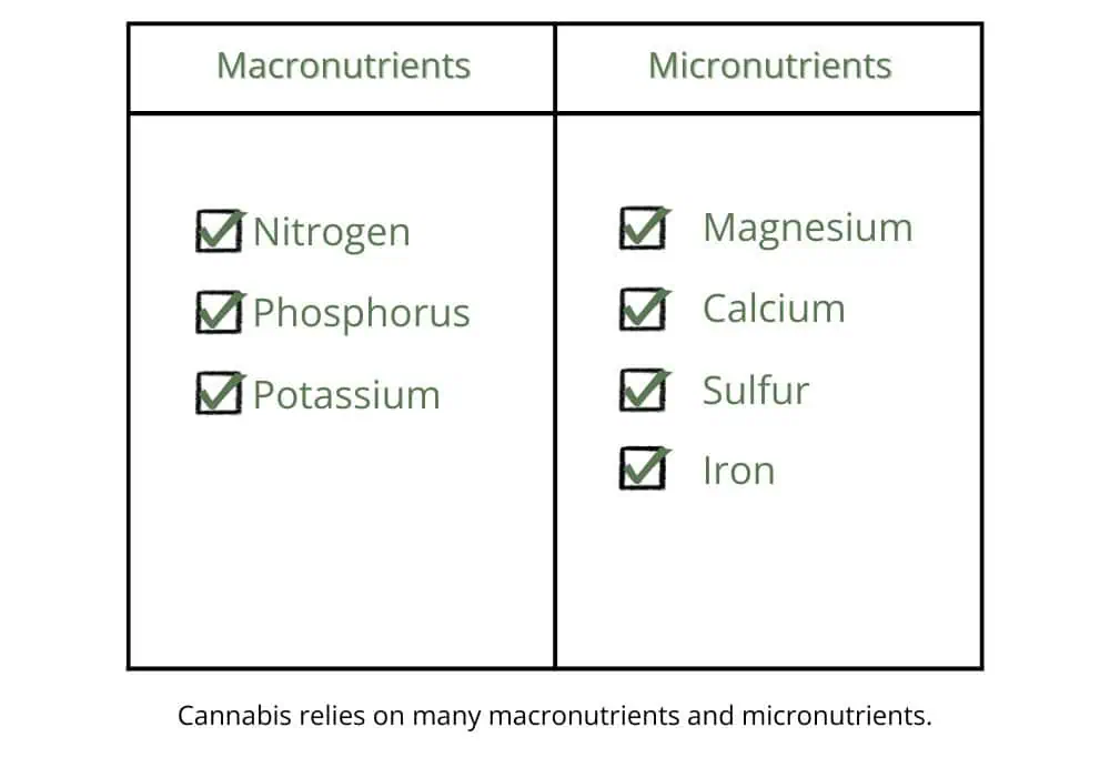 cannabis nutreints for soil