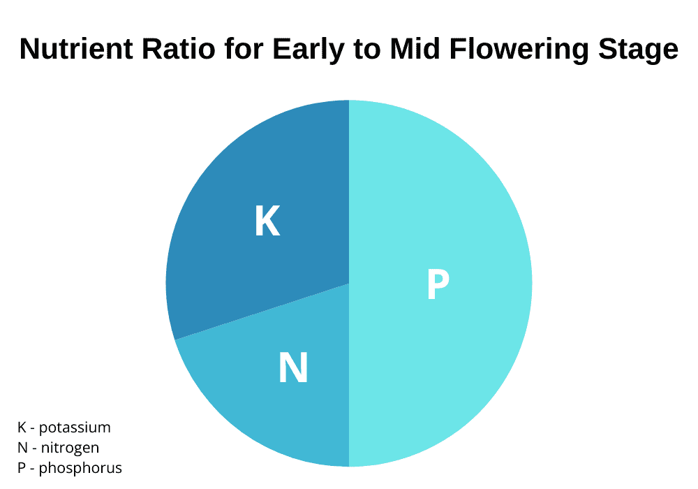 marijuana nutrients nitrogen potassiu and phosphorus 2