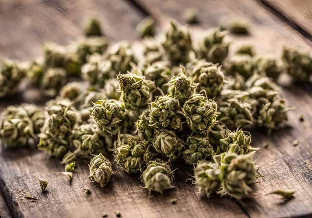 double stuffed cannabis buds on a wood table