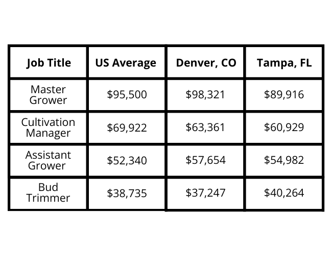average cannabis salaries in us