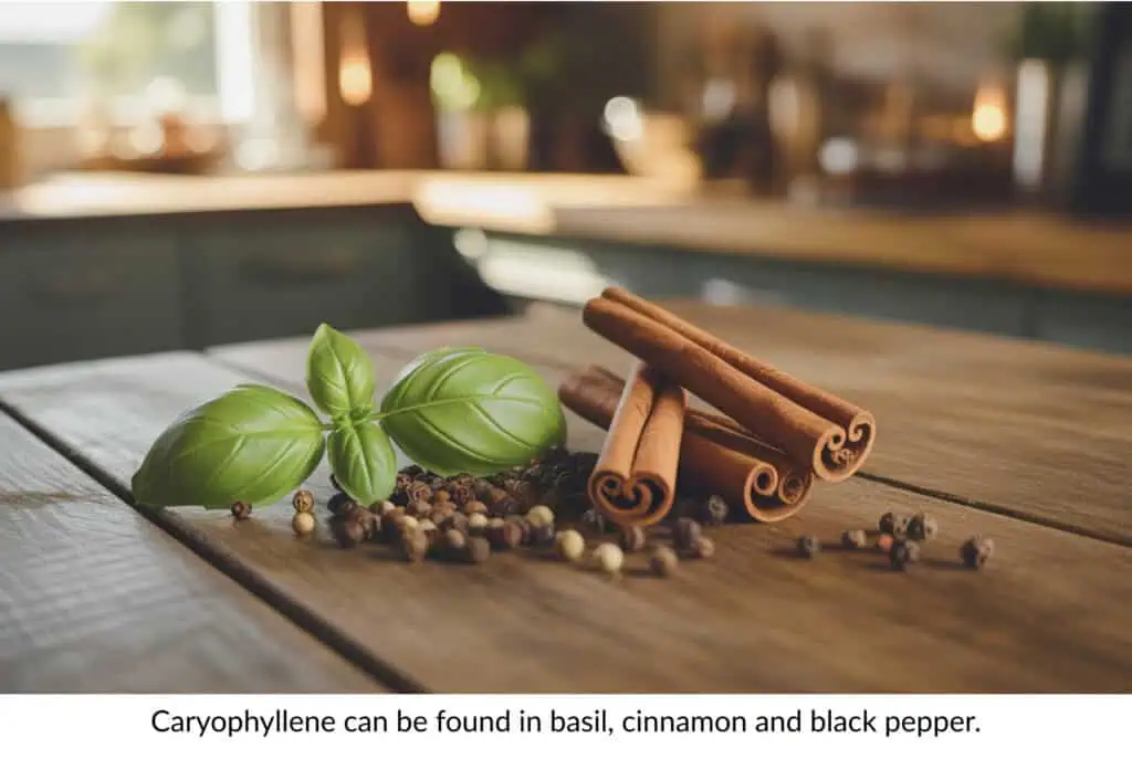 Ultimate List of Terpenes and Terpene Benefits 6 cinnamon, pepper, and basil on a wood table in a kitchen