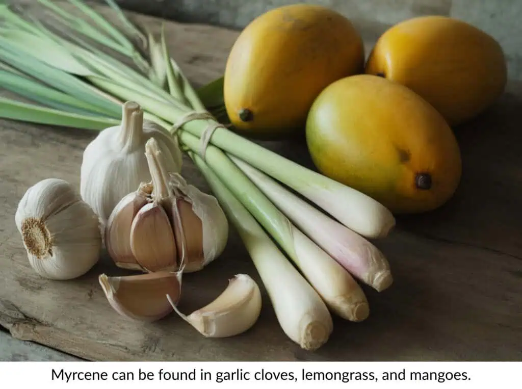Ultimate List of Terpenes and Terpene Benefits 3 garlic cloves, mangoes and lemon grass on a wood table