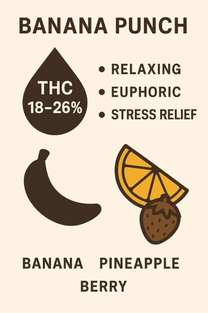Ultimate Look Into Banana Punch Strain 3 Banana Punch Strain-THC, effects, taste, infographic