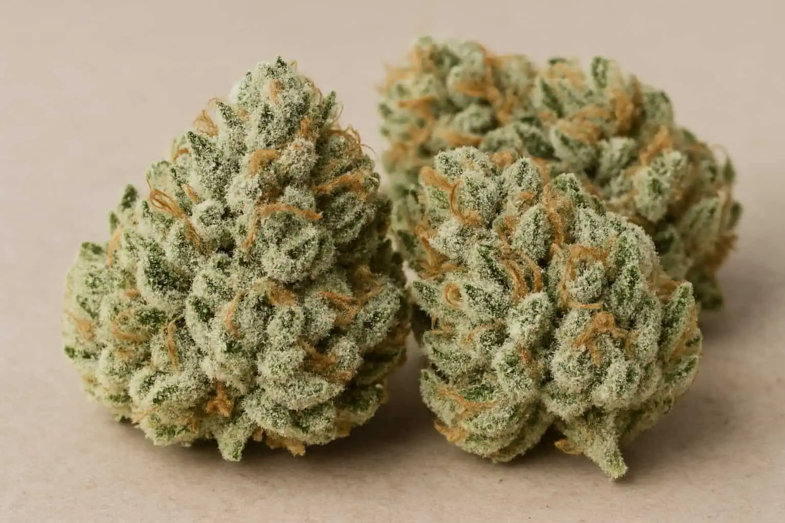 Three dense White Fire OG cannabis buds with visible orange hairs and a frosty coating of trichomes rest on a beige surface.