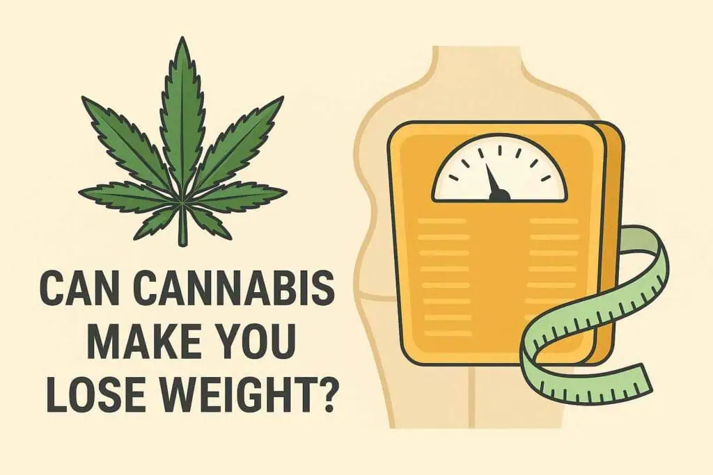 Can Cannabis Make You Lose Weight? 2025 Update 1 can cannabis help you lose weight? an image with a cannabis leaf, the words can cannabis make you lose weight and a human body with a scale and tape measure
