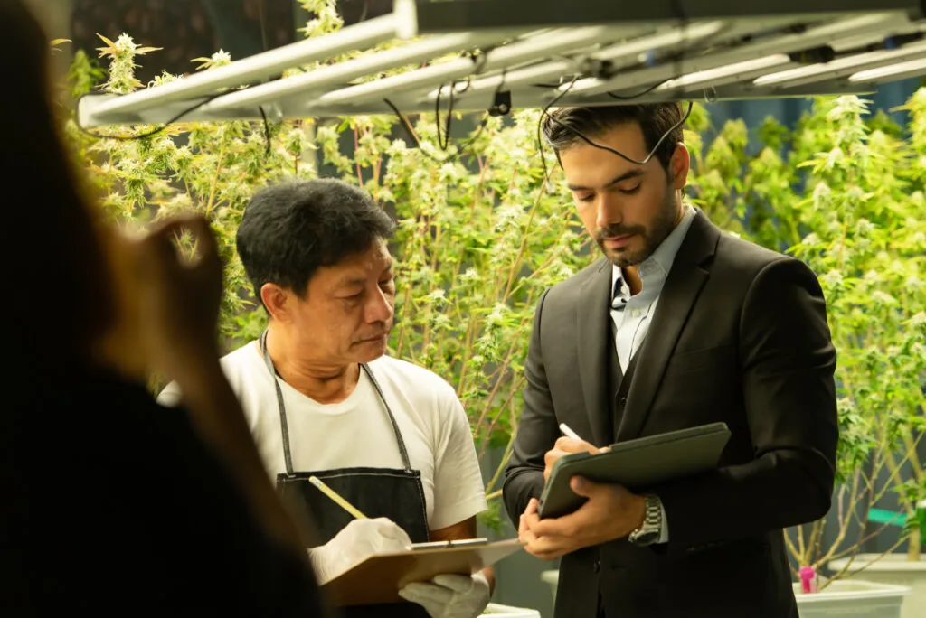 Farm owners and workers who maintain the cannabis plantation. Track the progress of the cannabis flower in the garden. with live broadcast on social media