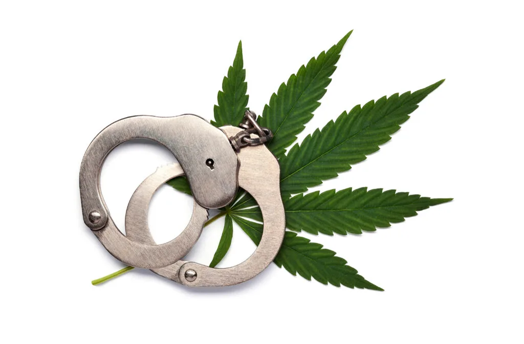 Cannabis leaf and handcuffs on white background