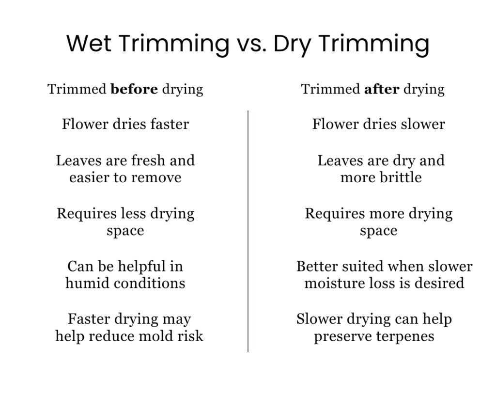 Wet Trimming vs. Dry Trimming 1 chart of wet trimming vs dry trimming cannabis in black and white