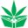 cannabistraininguniversity.com-logo