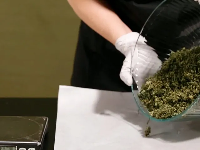 Budtender course