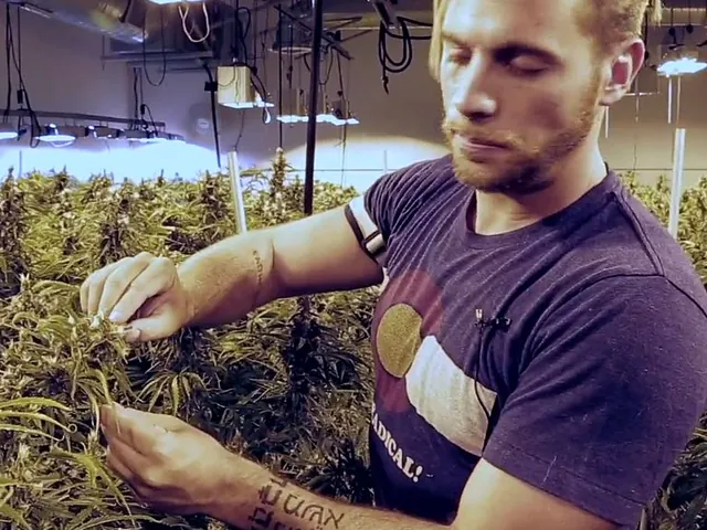 Indoor & Outdoor Growing course