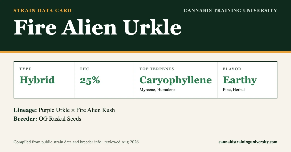Fire Alien Urkle Strain: Effects, Indica or Sativa, THC & Grow Info